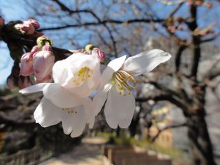 DSC01564.JPG