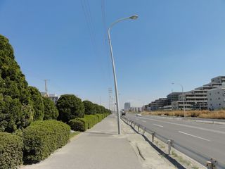 DSC01575.JPG